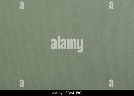 Textur von Pastellpapier (grünes Papier) als Hintergrund Stockfoto