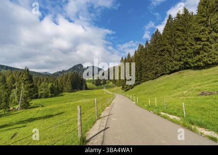 Fantastische Bergtour zum Siplingerkopf und Heidelbeerkopf vom Gunzesriedtal in den Allgauer Alpen Stockfoto