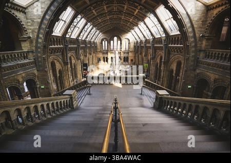 London, Vereinigtes Königreich - 17. April 2019 - die zentrale Halle des Natural History Museum in South Kensington, London, Vereinigtes Königreich, Vereinigtes Königreich Stockfoto