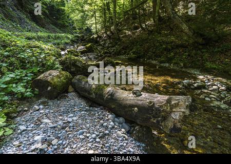 Durch das schöne Naturschutzgebiet Aachtobel im Gunzesriedtal im Allgau Stockfoto