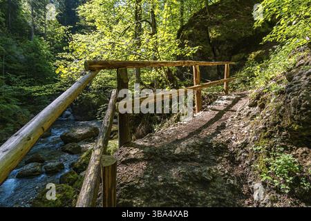 Durch das schöne Ostertaltobel im Gunzesriedtal im Allgau bei Blaichach, Sonthofen Stockfoto