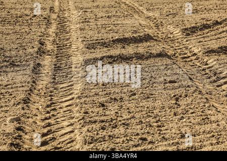 Spurweite für schwere Fahrzeuge (Traktor) auf trockenem Feld, sonnenbeleuchtet, Liptovsky Hradok, Slowakei, Europa Stockfoto