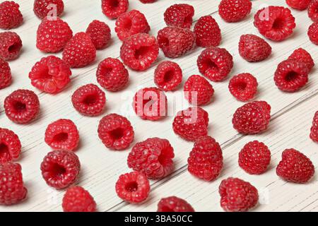 Himbeeren frisch aus dem Garten, verschüttet auf weißem Schreibtisch, Liptovsky Hradok, Slowakei, Europa Stockfoto