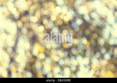 Abstrakte Bokeh Unschärfe Farbe helle Herbstfarbe, Herbst Feiertagshintergrund Stockfoto
