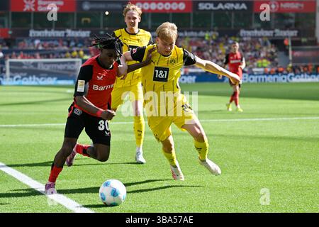 Leverkusen, Deutschland. Mai 2025. JEREMIE Frimpong (L) von Bayer 04 Leverkusen streitet mit Daniel Svensson von Borussia Dortmund während des ersten Liga-Fußballspiels zwischen Bayer 04 Leverkusen und Borussia Dortmund am 11. Mai 2025 in Leverkusen. Quelle: Ulrich Hufnagel/Xinhua/Alamy Live News Stockfoto
