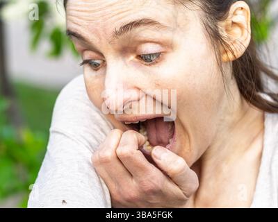 Eine Nahaufnahme einer Hirschzecke, die am Arm einer Person herumkriecht. Die Arachnide ist rötlich gefärbt und hat ihre Beine als Kriechen ausgestreckt Stockfoto