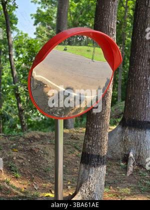 Weitwinkelspiegel, der eine gekrümmte Straße im Park zeigt Stockfoto