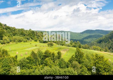 Ländliche Berglandschaft im Sommer. Ländliches Feld und Wald auf den sanften Hügeln der karpaten unter bewölktem Himmel. Malerische Umgebung Urlaub Stockfoto