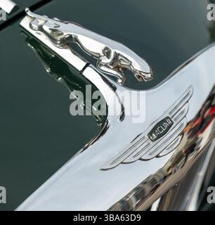 Makrobild der Jaguar-Kapuze mit dem Verzierungen und Emblem auf der glänzend grünen Motorhaube, die den Luxus und zeitlosen Charme des klassischen britischen des einfangen Stockfoto