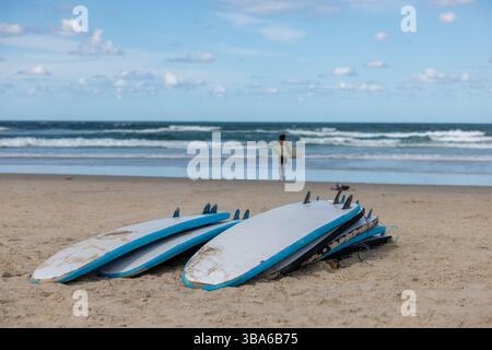 Stapelbare Surfbretter sitzen auf Sand in der Nähe, um Surfunterricht zu erhalten Stockfoto
