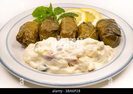 Gefüllte Weinblätter (Griechische Dolmades). Stockfoto