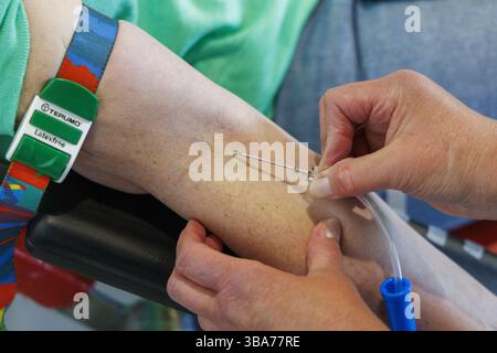Brügge, Belgien. Mai 2025. Dieses Foto wurde während der jährlichen Blutentnahmekampagne „Bloedserieus“, die vom Roten Kreuz Flandern am Montag, den 12. Mai 2025 im Ausbildungszentrum ZoWe Campus Brügge organisiert wird, aufgenommen. BELGA FOTO NICOLAS MAETERLINCK Credit: Belga News Agency/Alamy Live News Stockfoto