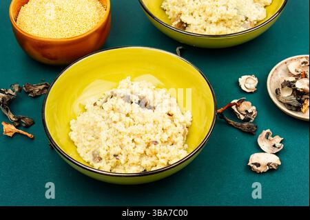 Traditioneller ukrainischer Hirsebrei mit Pilzen in einer Keramikschale. Stockfoto