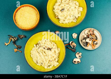 Traditioneller ukrainischer Hirsebrei mit gebratenen Pilzen in einer Keramikschale. Flache Lagen. Stockfoto