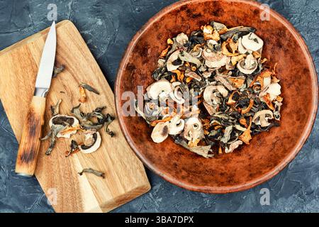Sortiment getrockneter Pilze. Flache Lagen. Stockfoto