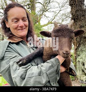 Bridford, Devon, Großbritannien. April 2025. Manx Loaghtan Lamb auf der Shooting Box Farm in Bridford. Der Manx Loaghtan ist eine seltene Rasse gehörnter Schafe. Bridford, Devon, Großbritannien. Stockfoto