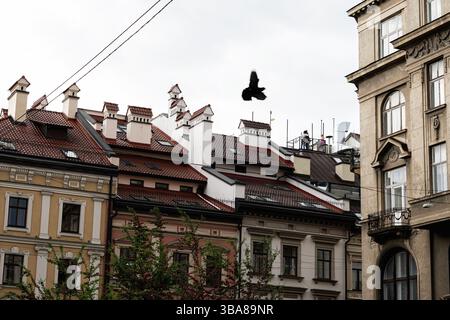 Malerische historische Dächer mit roten Fliesen unter einem gedämpften bewölkten Himmel in Lemberg, Ukraine. Stockfoto