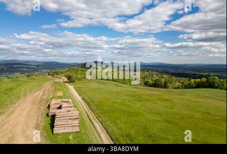 Frisch geschnittenes und gestapeltes Holz auf einer Wiese in der Nähe der Wälder des Isergebirges in der Tschechischen Republik im Sommer, umgeben von grünem Gras und n Stockfoto