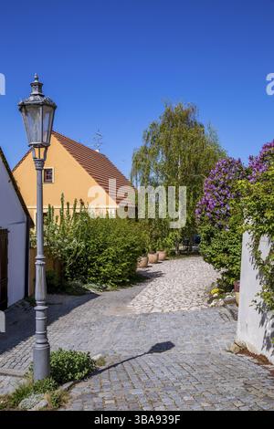 Malerische Stadt Mikulov am sonnigen Frühlingstag mit blühenden Büschen und Bäumen. Mikulov, ausgebreitet auf den Hügeln von Palava und umgeben von Weinbergen Stockfoto