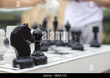 Schwarze Schachritter Nahaufnahme vor dem Hintergrund verschwommener Schachfiguren Stockfoto