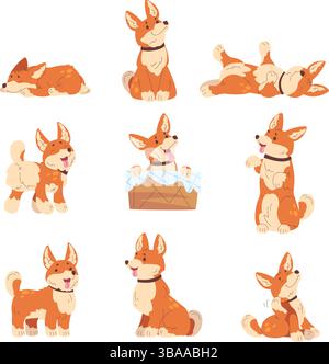 Corgi posiert. Cartoon walisischer Welpe niedlicher Hund, entzückender Hund kleines Haustier Hundestellung Schlaf sitzend spielend glücklicher Ausdruck Kind Haustier Set, klassische Vektor Illustration Original Artwork Stock Vektor