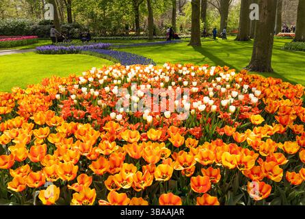Tulip Display im Keukenhof, in der Nähe von Amsterdam, Holland Stockfoto
