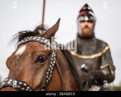 Ritter auf dem Pferd. Stockfoto
