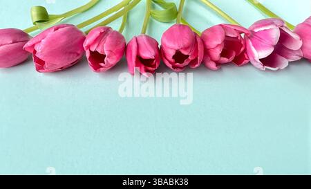 Nahaufnahme von rosafarbenen Tulpen, die horizontal mit grünen Stielen auf einer hellpastellblauen Oberfläche ausgerichtet sind. Das Arrangement weckt ein Gefühl von Frühling, Frische und Stockfoto