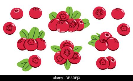 Rote Beeren, Preiselbeeren und grüne Blätter. Flache Vektor-Illustration Set süße Früchte lokalisiert auf weißem Hintergrund für den Druck auf Stoff, Etiketten und fo Stock Vektor
