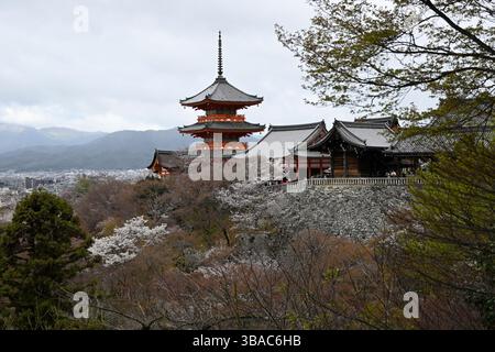 Kiyomizu-dera buddhistischer Tempel und dreistöckige Sanjunoto-Pagode mit Kirschblüte, Kyoto, Honshu Island, Japan. Stockfoto
