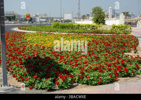 Ein farbenfrohes Blumenbeet mit roten und gelben Blumen, die in einem kreisförmigen Muster entlang einer Straße angeordnet sind. Die Szene ist hell und farbenfroh und zeigt einen Stockfoto
