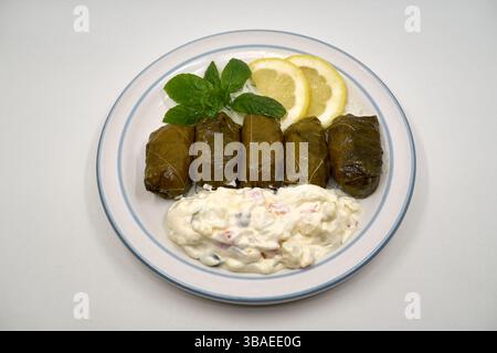 Gefüllte Weinblätter (Griechische Dolmades) Stockfoto