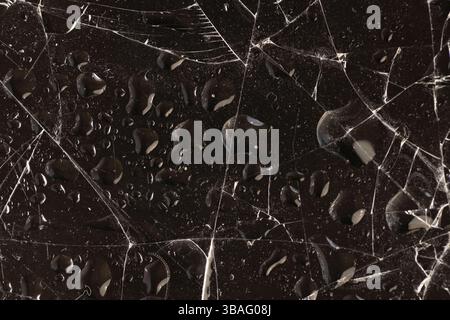 Wasser bedeckt zerbrochenes Glas auf dunklem Hintergrund, nasses dünnes Glas in viele Stücke gebrochen, Nahaufnahme Stockfoto