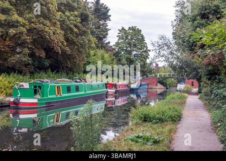 Schmalboote, die auf dem Aylesbury-Arm des Grand Union Canal in Buckinghamshire, England, Großbritannien, ankern Stockfoto