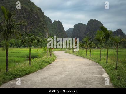 Malerischer Pfad zwischen Reisfeldern und Kalksteinbergen der Tam Coc Gegend in Ninh Binh Stockfoto