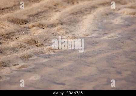 Ein detailliertes Foto, das Wellen zeigt, die sich über einer sandigen Oberfläche unter flachem Wasser gebildet haben und Muster und natürliche Texturen hervorhebt. Hintergrundfoto Stockfoto