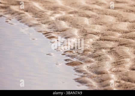 Ein detailliertes Foto, das Wellen zeigt, die sich über nasssandiger Oberfläche unter flachem Wasser bilden und Muster und natürliche Texturen hervorheben. Hintergrund-ph Stockfoto