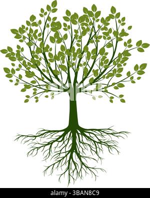 Form eines grünen Baumes mit Blättern und Wurzeln. Vektorkontur, Abbildung. Pflanze im Garten. Stock Vektor