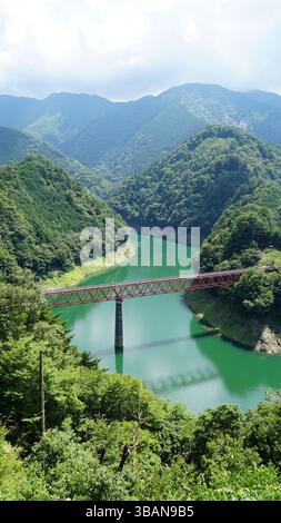 Bridging Nature – Panoramablick von Shizuoka, Japan Stockfoto