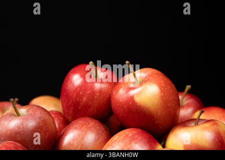 Frische Rote Äpfel Aus Bio-Anbau Aus Nächster Nähe. Stockfoto
