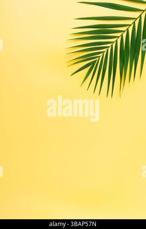 Urlaubsreiseplanung einfaches Thema von Palmblättern auf einheitlichem gelbem Hintergrund flach mit Kopierraum Stockfoto
