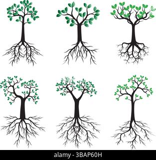 Stellen Sie grüne Bäume auf weißen Hintergrund. Stock Vektor