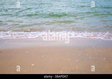 Eine Nahaufnahme fängt eine sanfte Welle ein, die an einem Sandstrand bricht. Der nasse Sand im Vordergrund reflektiert das Licht und das zurückziehende Wasser. Stockfoto