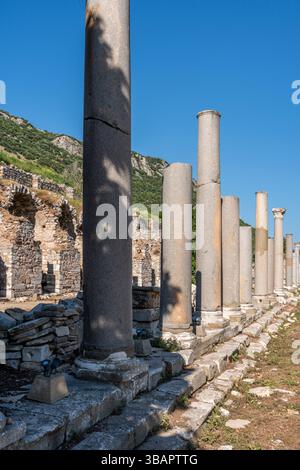 Säulengang der unteren Agora in Ephesus, Überreste einer großen römischen Basilika, die einst rechtliche und kommerzielle Rollen diente. Stockfoto