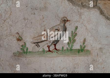 Ephesus – Terrassenhäuser, gemalte Wand mit Vogel- und Vegetationsmotiv, Beispiel eines römischen naturalistischen Freskos in privater Einrichtung. Stockfoto