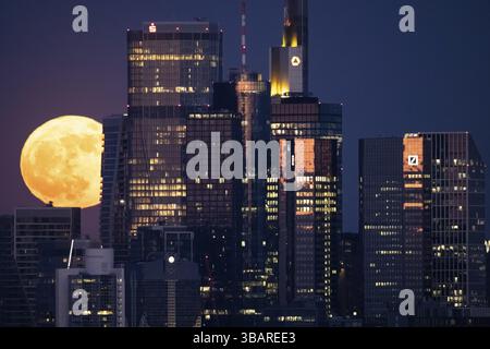 Der Vollmond vergeht hinter der Frankfurter BankenSkyline, Frankfurt am Main, Hessen, Deutschland, Europa Stockfoto