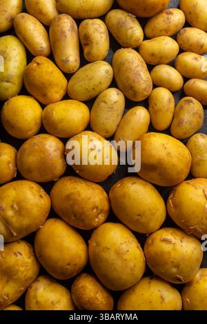 Frisch geerntete Kartoffeln bilden eine lebendige und strukturierte Kulisse Stockfoto