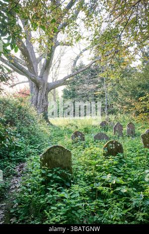 Der Friedhof der St. Mary's Church, Horsham, Sussex, England Stockfoto