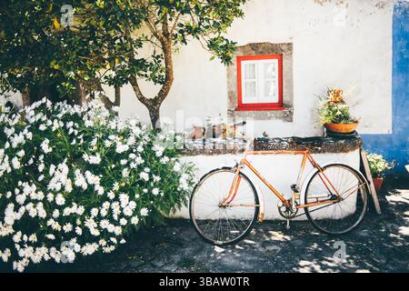 Vintage-oranges Fahrrad, das sich an einer weißen Stuckwand mit einem rot gerahmten Fenster, üppigen blühenden Gänseblümchen und Topfpflanzen in einer bezaubernden rustikalen Kuh lehnt Stockfoto