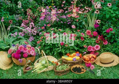 Seine und ihre Gärtnerhüte mit Sommerernte in Körben neben Blumenbeet in den Farben Rosa und Lila, Missouri, USA Stockfoto